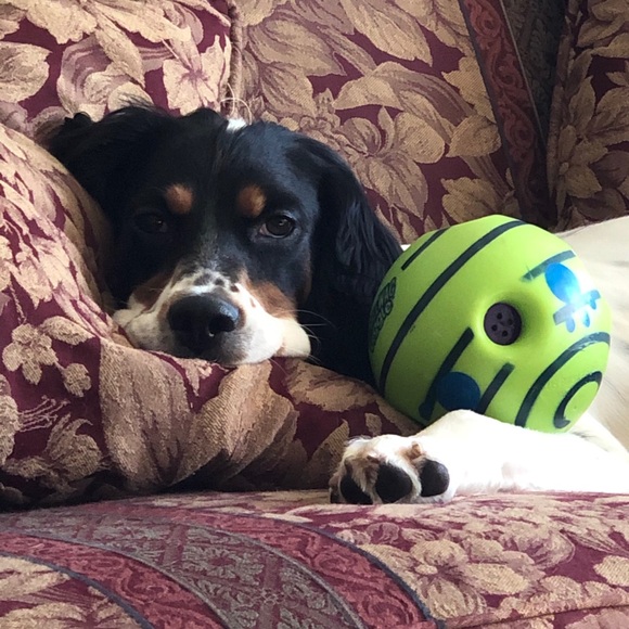 Meet your Posher, Stephanie - Picture 3 of 4